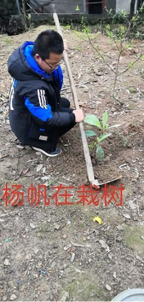 衡陽(yáng)市蒸湘區(qū)仁愛實(shí)驗(yàn)中學(xué)|衡陽(yáng)全日制|全寄宿|全封閉|半月假制初級(jí)中學(xué) 衡陽(yáng)市蒸湘區(qū)仁愛實(shí)驗(yàn)中學(xué)|衡陽(yáng)全日制|全寄宿|全封閉|半月假制初級(jí)中學(xué)