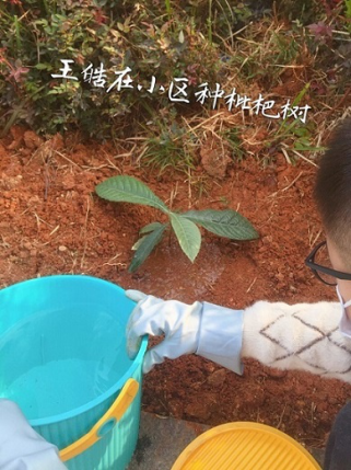 衡陽(yáng)市蒸湘區(qū)仁愛實(shí)驗(yàn)中學(xué)|衡陽(yáng)全日制|全寄宿|全封閉|半月假制初級(jí)中學(xué) 衡陽(yáng)市蒸湘區(qū)仁愛實(shí)驗(yàn)中學(xué)|衡陽(yáng)全日制|全寄宿|全封閉|半月假制初級(jí)中學(xué)